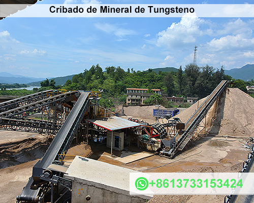 Cribado de Mineral de Tungsteno Proceso y Tecnología